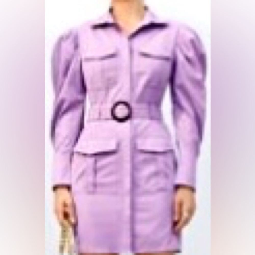 SHEIN Collard Leg-of-Mutton Sleeve Pocket front O-ring Belted Dress